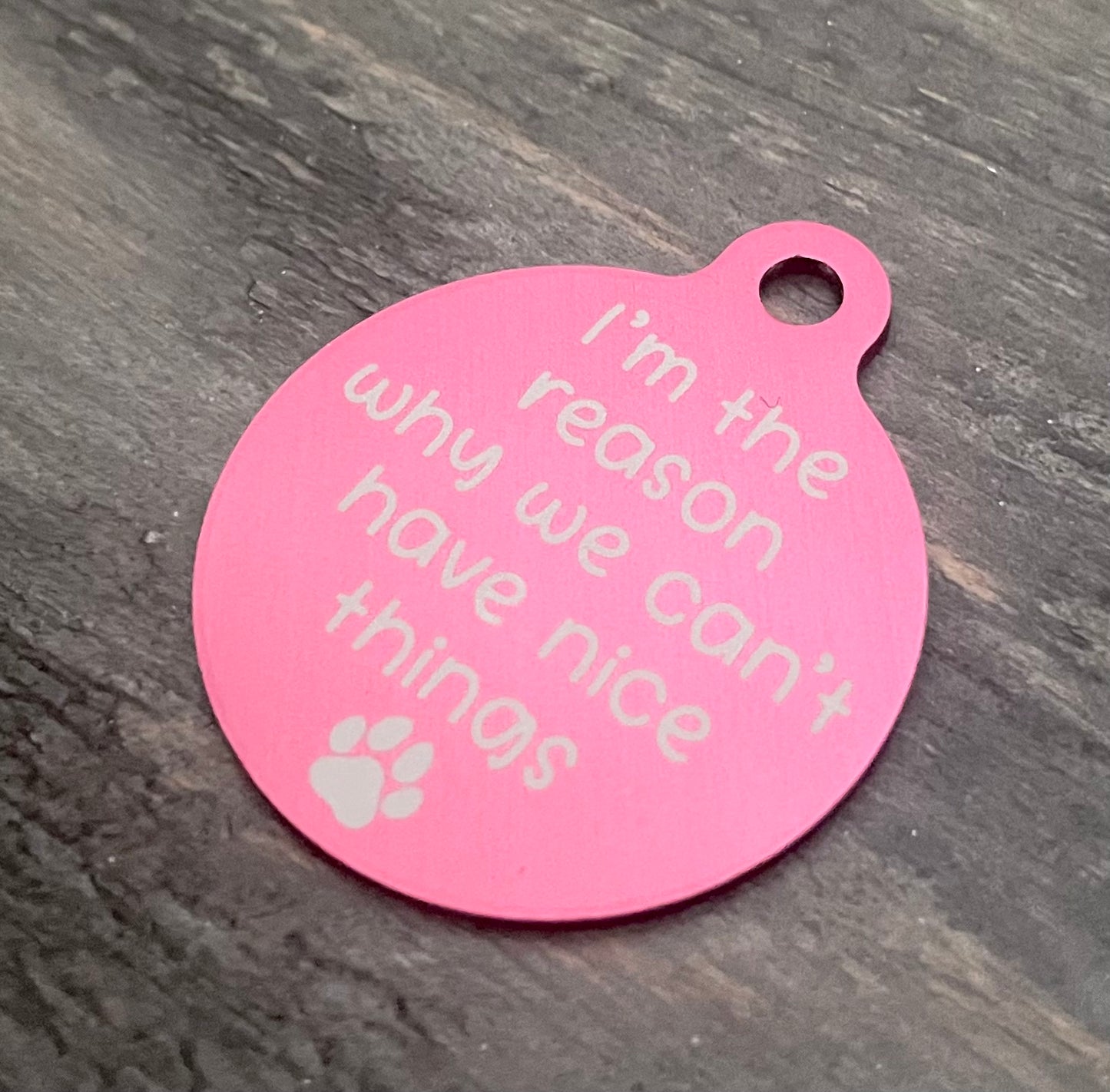 Pet Tag (Round) - I'm The Reason Why We Can't Have Nice Things