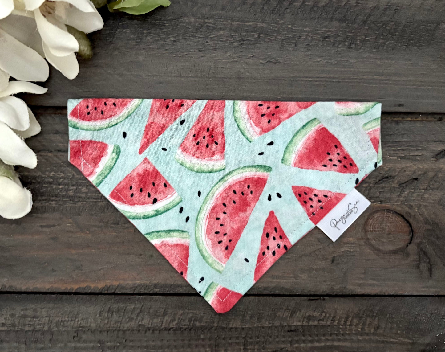 Over the Collar Pet Bandana - Summer Watermelon