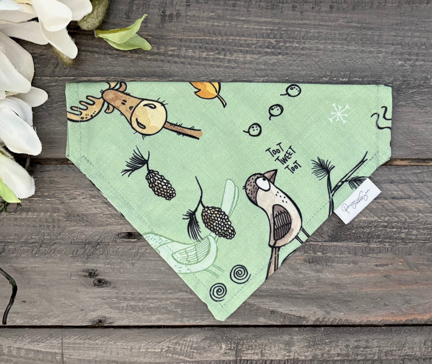 Over the Collar Pet Bandana - Explore BC