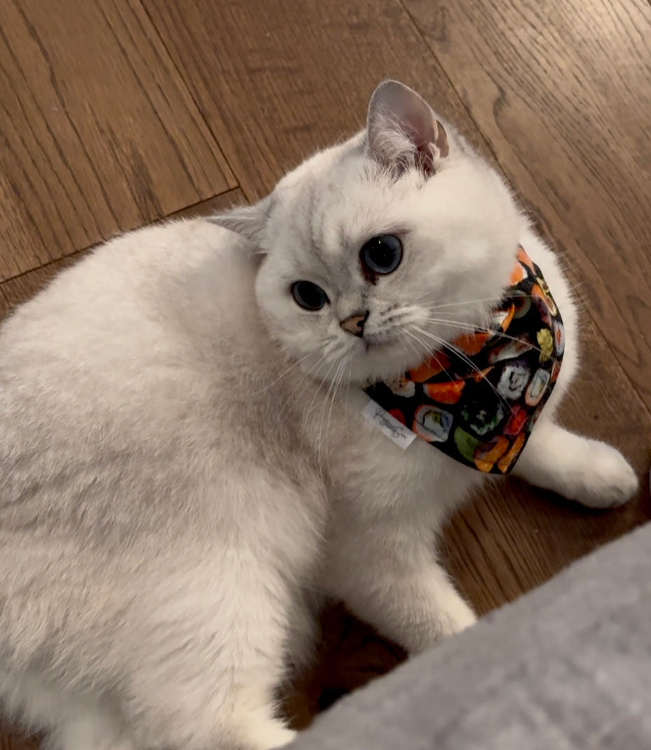 Over the Collar Pet Bandana - Sushi