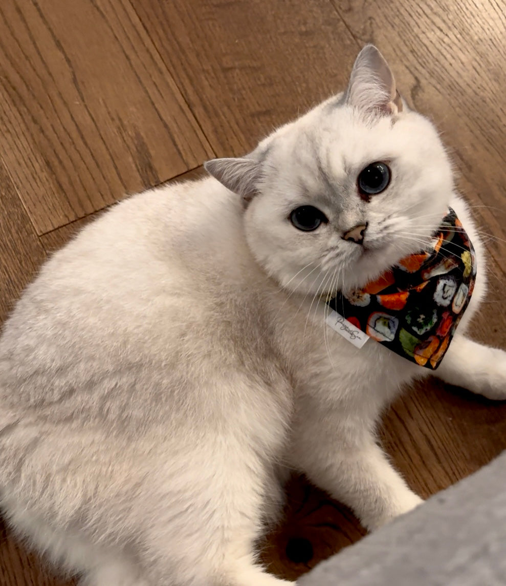Over the Collar Pet Bandana - Duck Duck & Goose