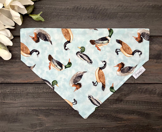 Over the Collar Pet Bandana - Duck Duck & Goose