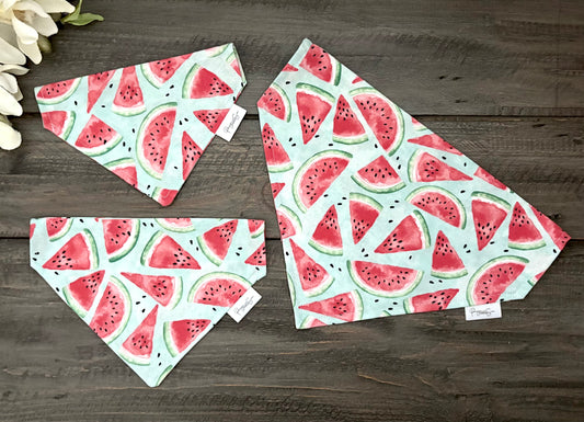 Over the Collar Pet Bandana - Summer Watermelon