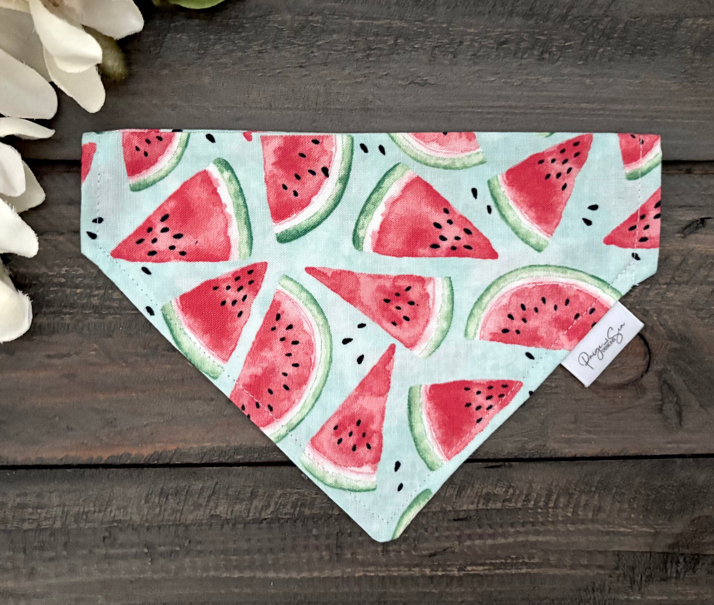 Over the Collar Pet Bandana - Summer Watermelon
