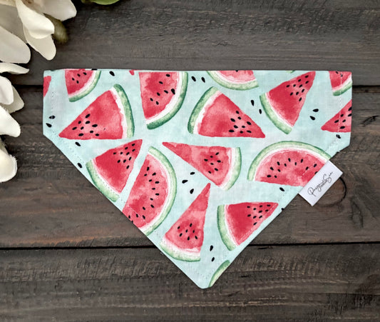 Over the Collar Pet Bandana - Summer Watermelon