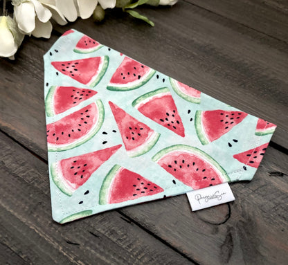 Over the Collar Pet Bandana - Summer Watermelon