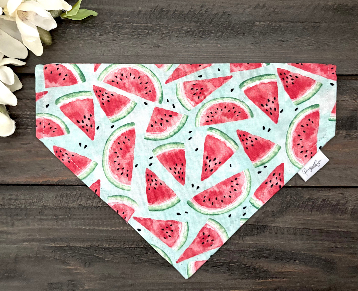 Over the Collar Pet Bandana - Summer Watermelon