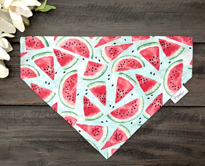 Over the Collar Pet Bandana - Summer Watermelon