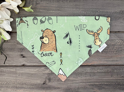 Over the Collar Pet Bandana - Explore BC