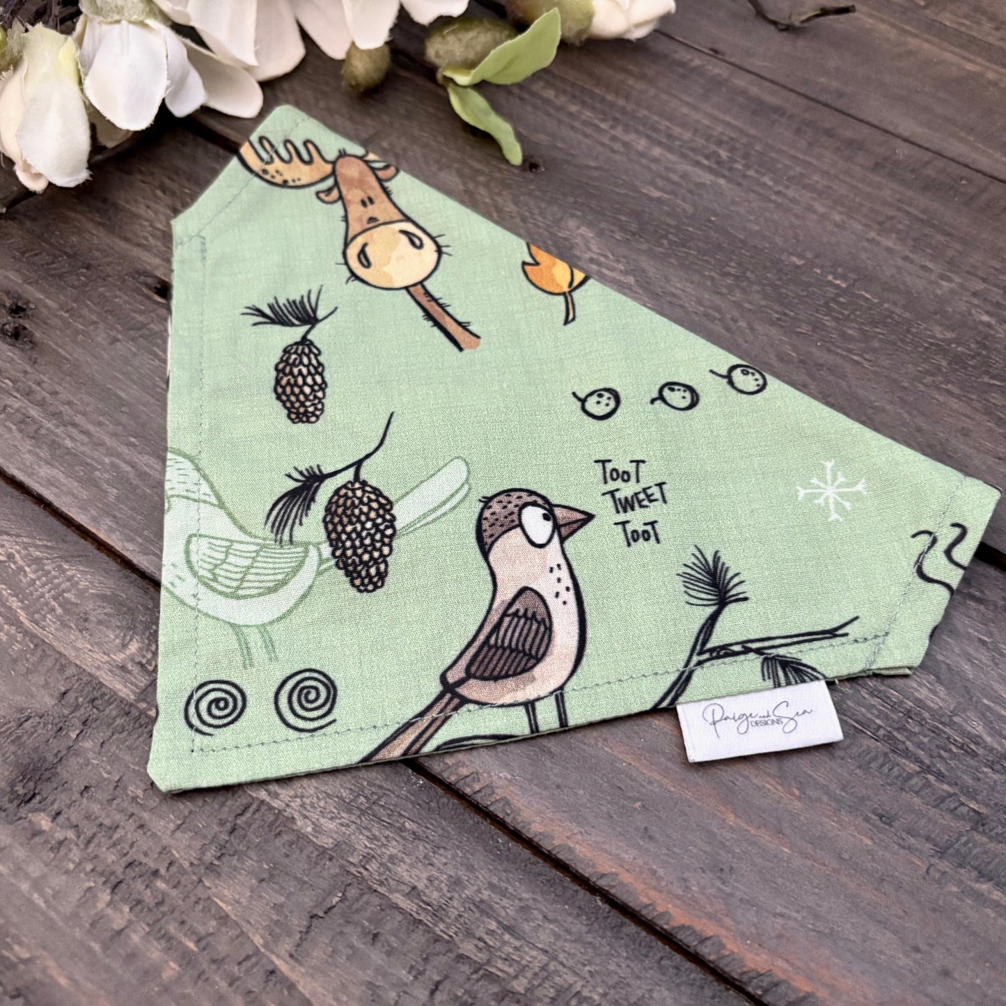 Over the Collar Pet Bandana - Explore BC