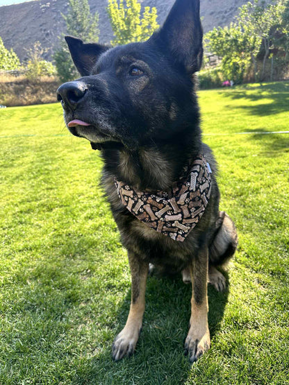 Over the Collar Pet Bandana - Good Dog Treats
