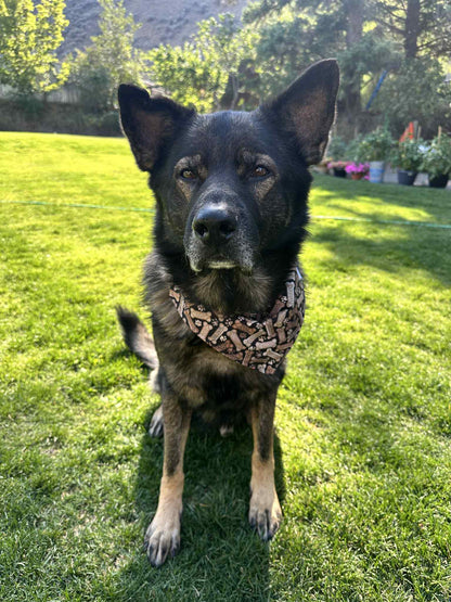 Over the Collar Pet Bandana - Good Dog Treats
