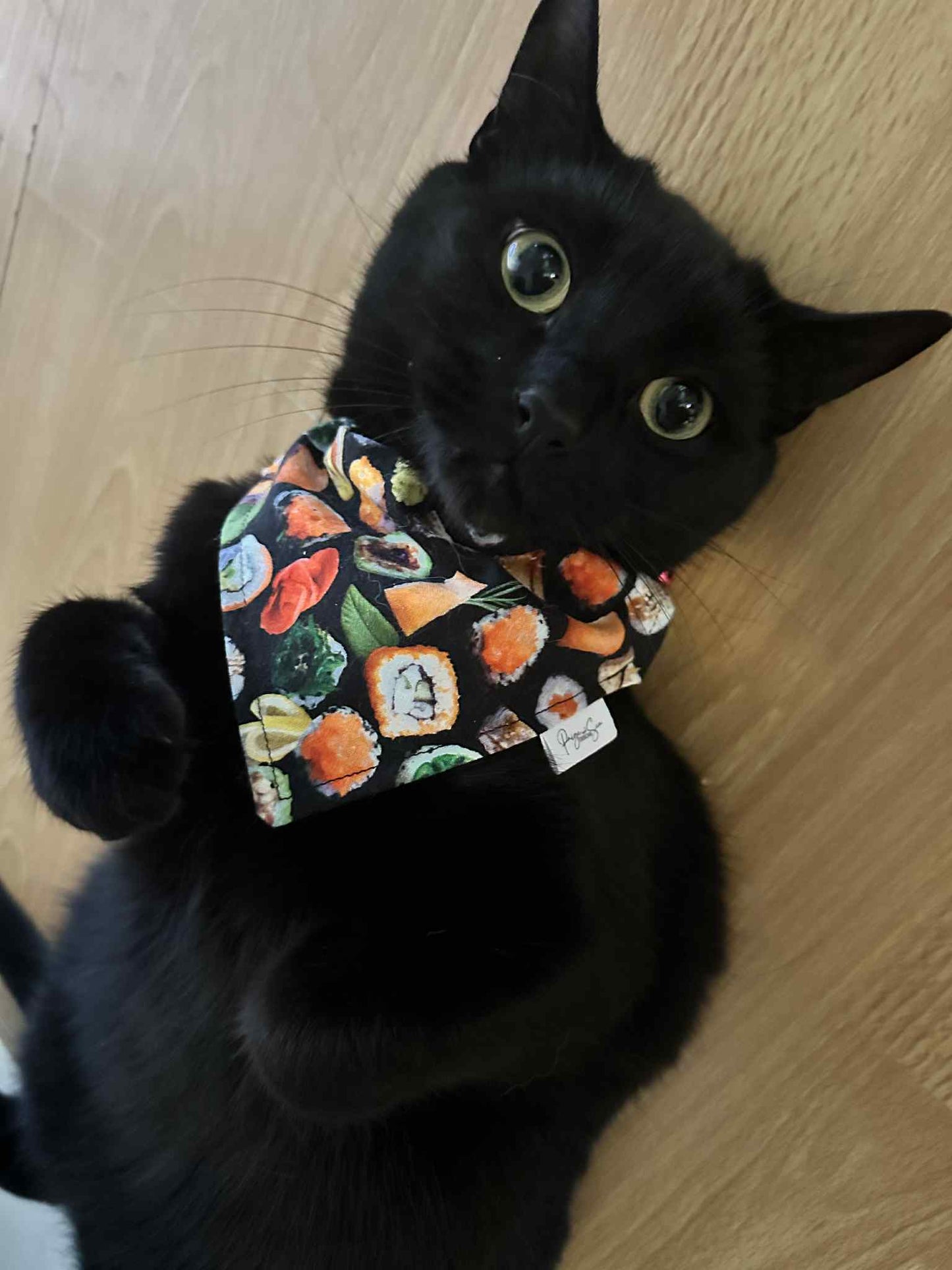 Over the Collar Pet Bandana - Sushi