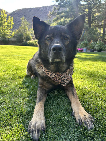 Over the Collar Pet Bandana - Sushi