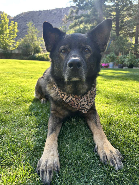 Over the Collar Pet Bandana - Good Dog Treats