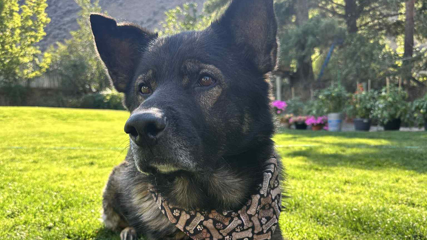 Over the Collar Pet Bandana - Good Dog Treats