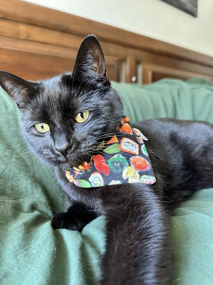 Over the Collar Pet Bandana - Sushi