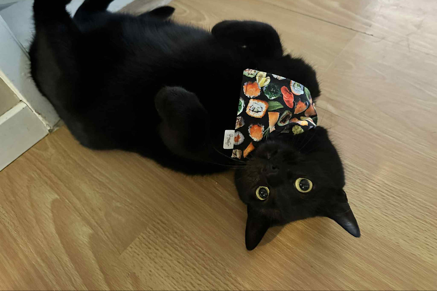 Over the Collar Pet Bandana - Sushi